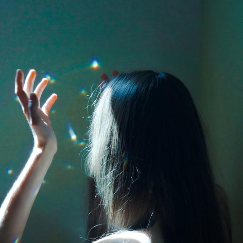 Photo #5226827