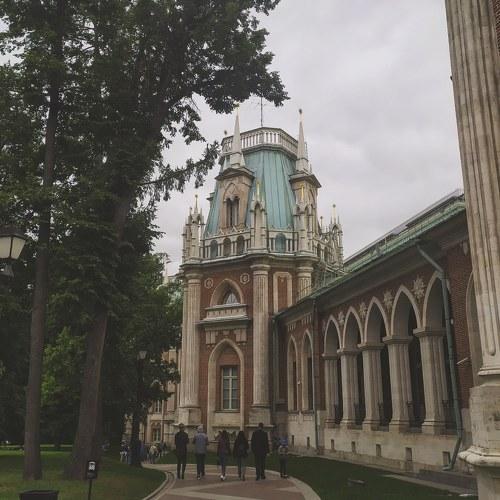 Photo #5226978