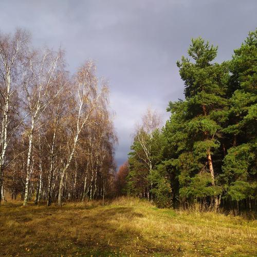 Photo #5227008