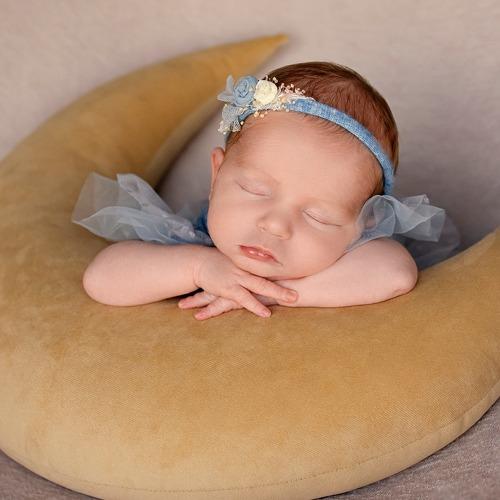 Photo #5227655