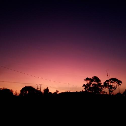 Photo #5227762