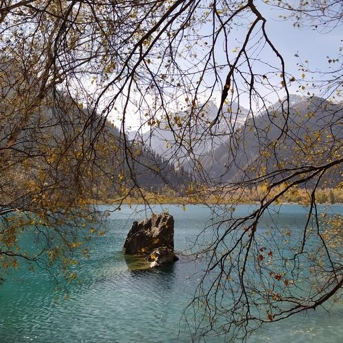 Photo #5227804