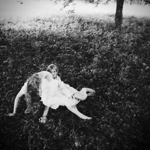 Photo #5228974