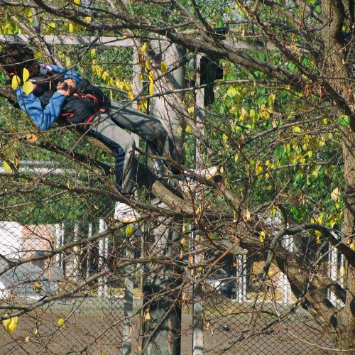 Photo #5229277