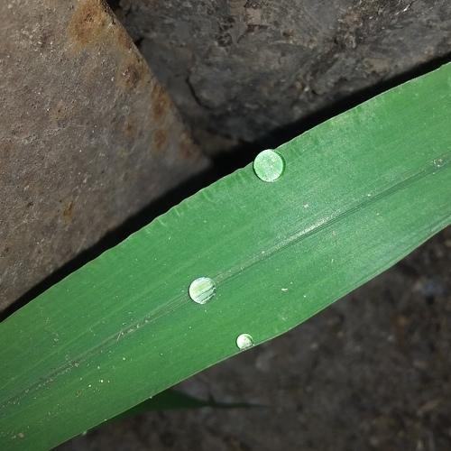 Photo #5229344