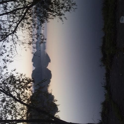 Photo #5229385