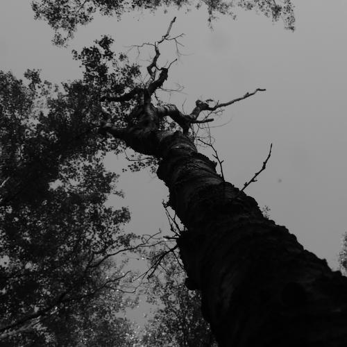 Photo #5229853