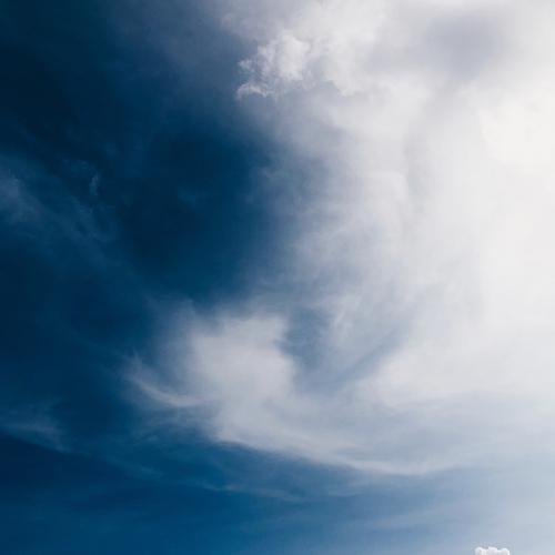 Photo #5229914