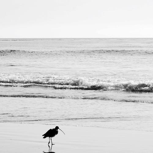 Photo #5229915