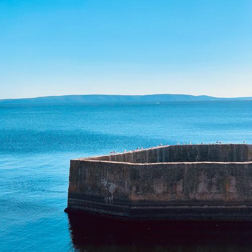 Photo #5229916
