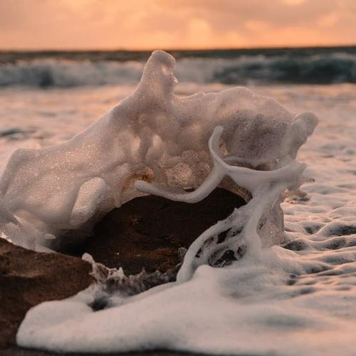 Photo #5230199