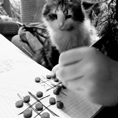 Photo #5230698