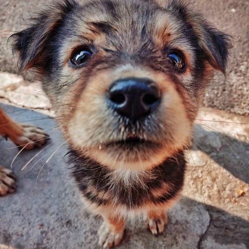 Photo #5230828