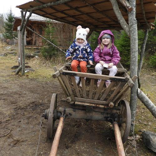 Photo #5230977