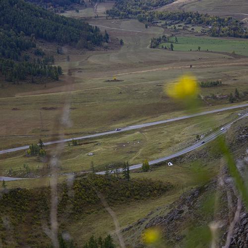 Photo #5230985