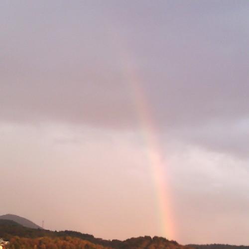 Photo #5230988
