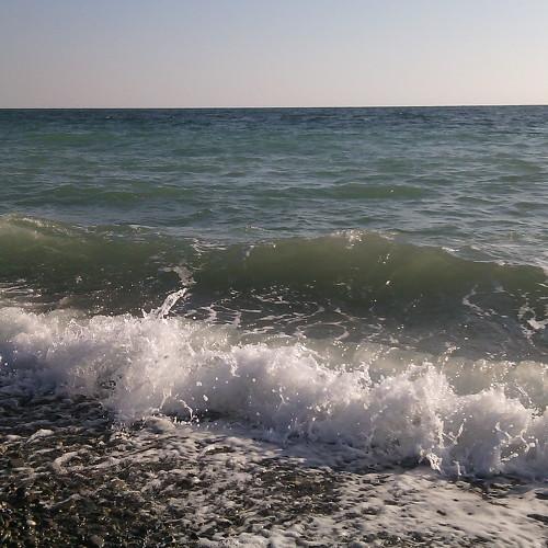 Photo #5230989