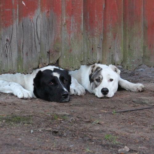 Photo #5231445