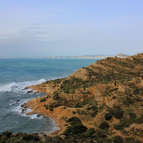 Photo #5232038