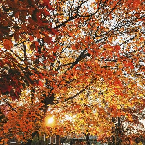 Photo #5232432