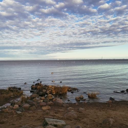 Photo #5232999