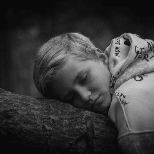 Photo #5233240