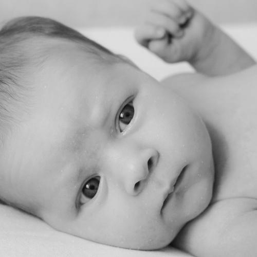 Photo #5233643