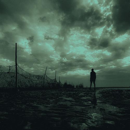 Photo #5233920