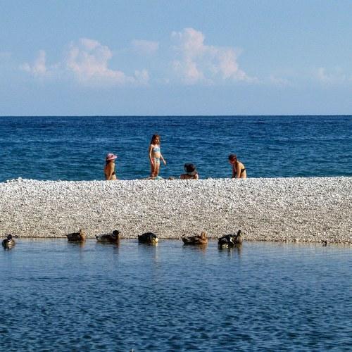 Photo #5234001