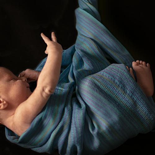 Photo #5234189