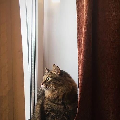 Photo #5234525