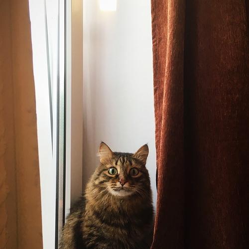 Photo #5234526