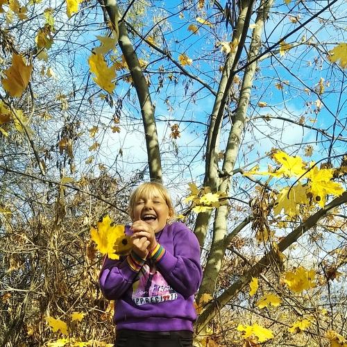 Photo #5234726