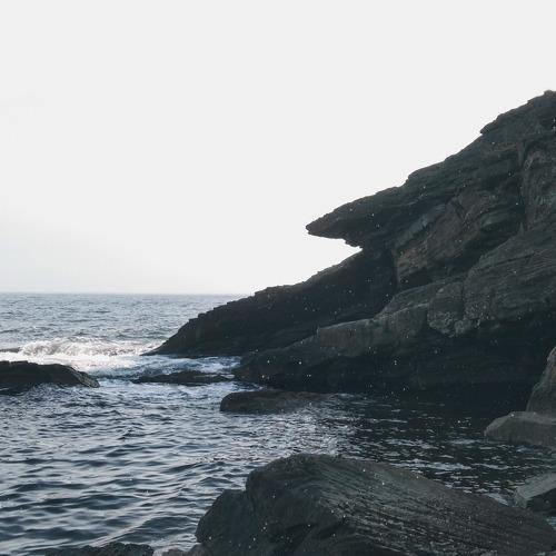 Photo #5234746