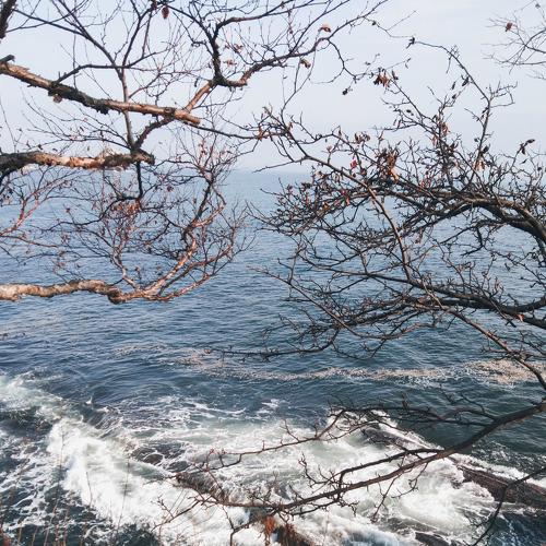 Photo #5234764