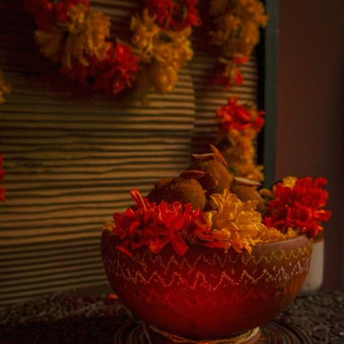Photo #5234887
