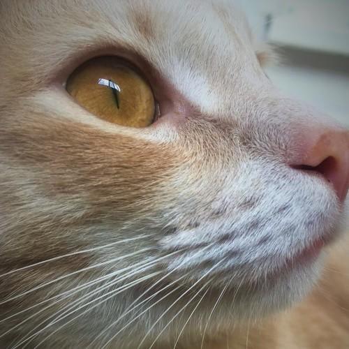 Photo #5234892