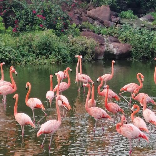 Photo #5234947
