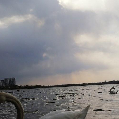 Photo #5235135