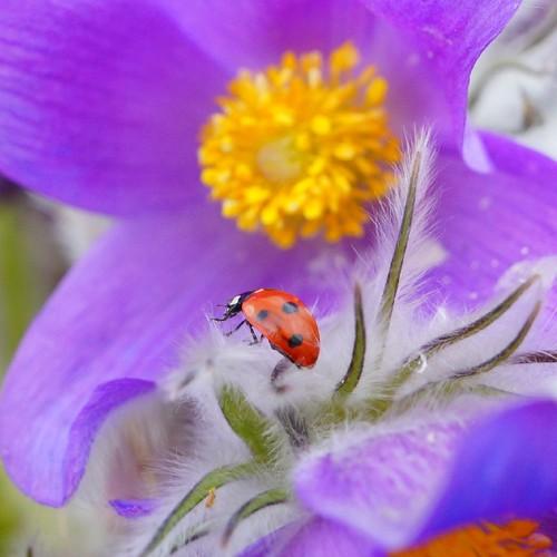 Photo #5235494