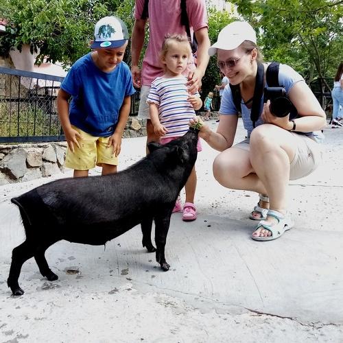 Photo #5235901