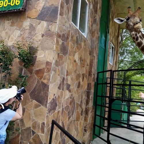 Photo #5235903