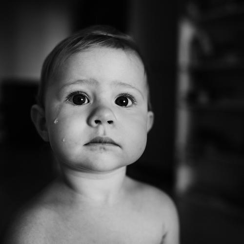 Photo #5236071