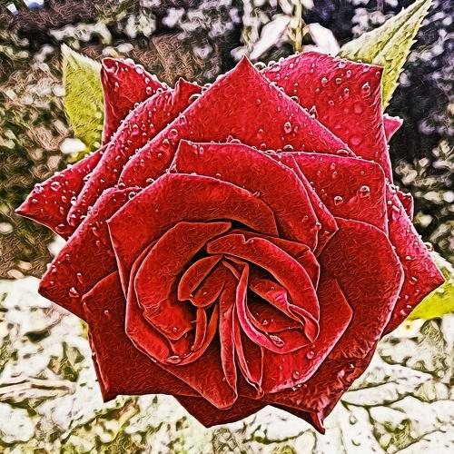 Photo #5236107