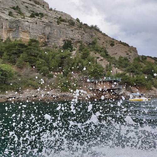Photo #5236119