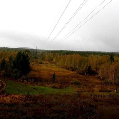 Photo #5236164