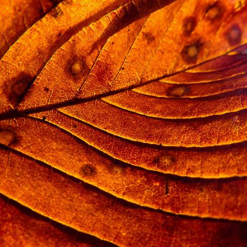 Photo #5236179