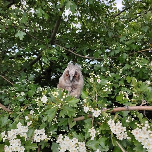 Photo #5236183