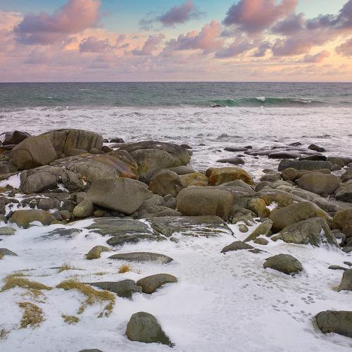 Photo #5236348