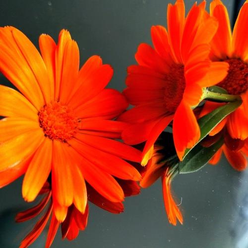 Photo #5236563